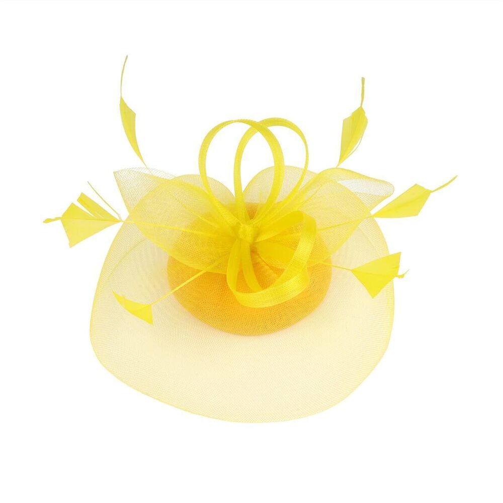 1485 Fascinator Hat For Women, Mesh Veil Flower Feather Headband Clip